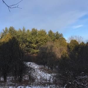 Meet your Posher, Marisa